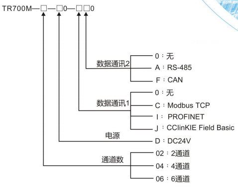 Intelligent multi-channel weight transmitter TR700M
