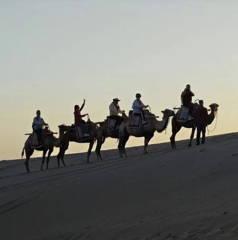 Sand Sea Journey, Heart towards the Future | 2024 Guangdong Coatings and Ink Industry Gobi Hiking Challenge Tour Sand Sea Journey, Heart towards the Future | 2024 Guangdong Coatings and Ink Industry Gobi Hiking Challenge Tour