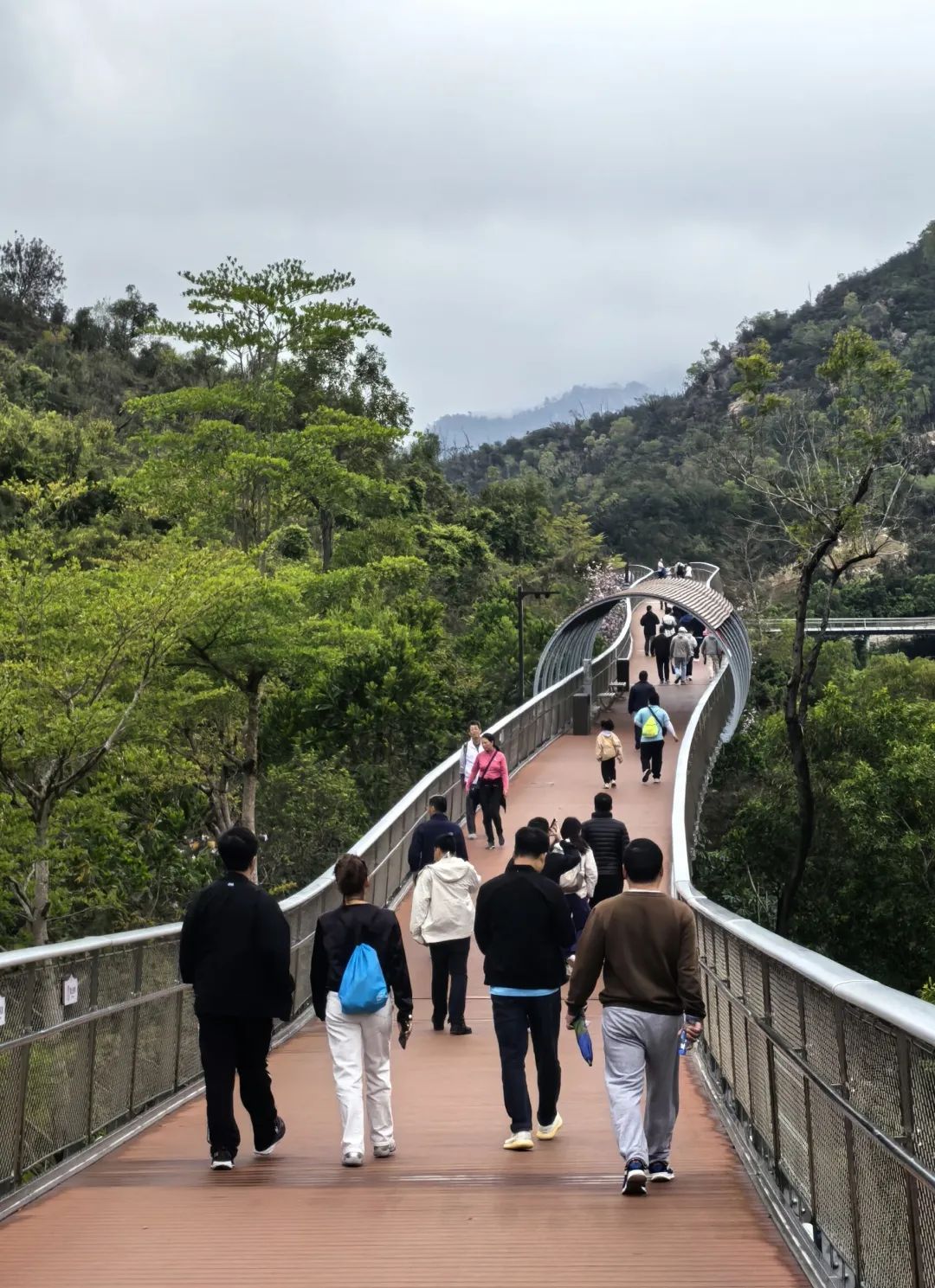 寻芳觅趣正其时,不负春景踏歌行 寻芳觅趣正其时,不负春景踏歌行