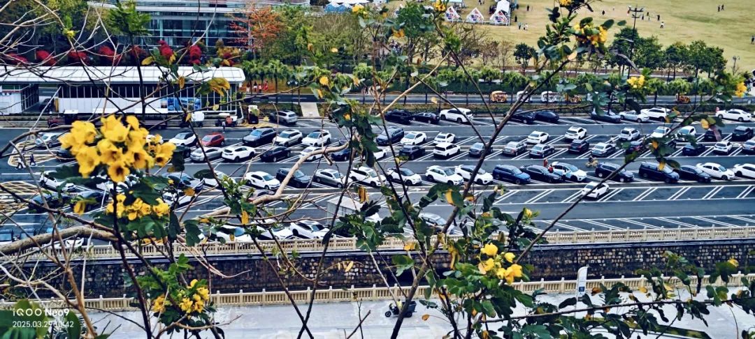 寻芳觅趣正其时,不负春景踏歌行 寻芳觅趣正其时,不负春景踏歌行