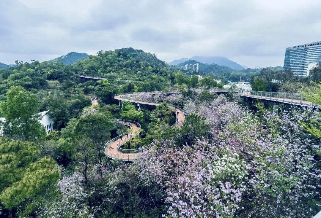 寻芳觅趣正其时,不负春景踏歌行 寻芳觅趣正其时,不负春景踏歌行