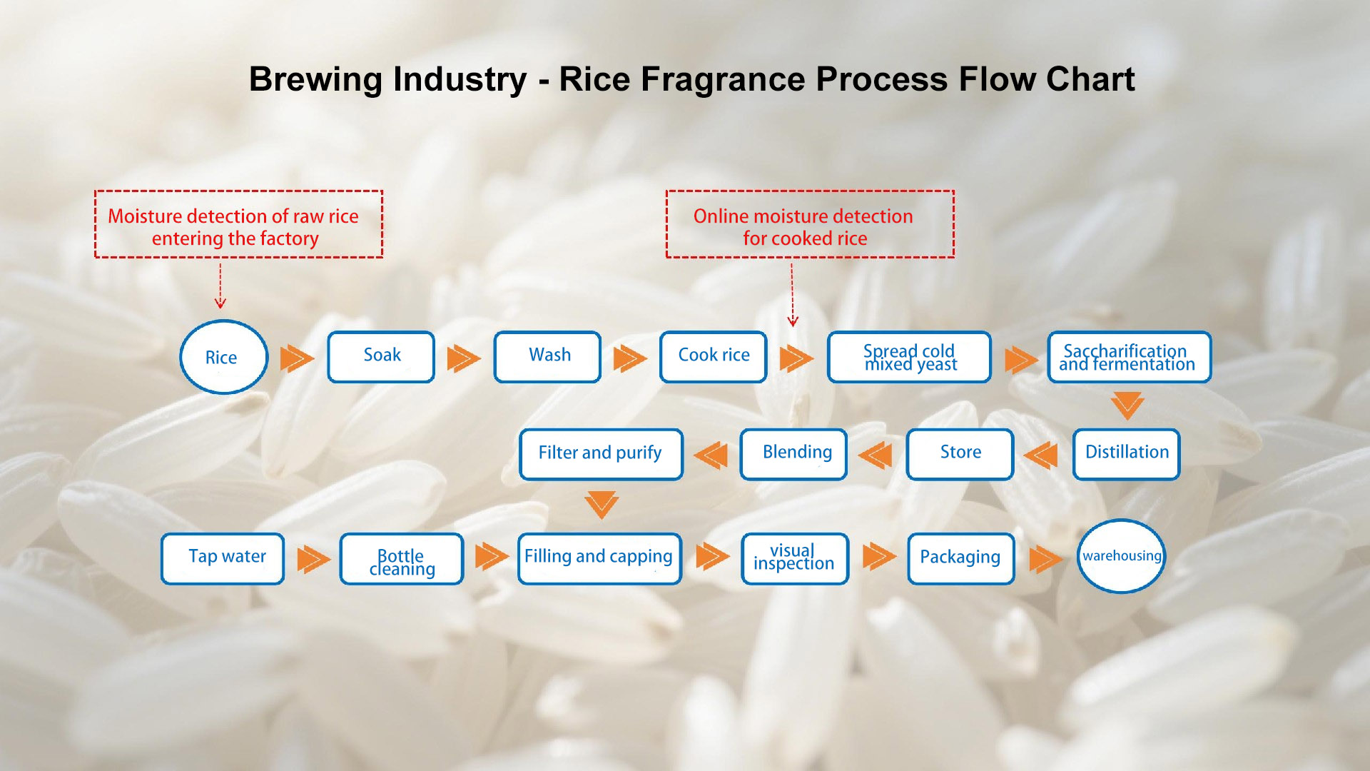 Food and Brewing Industry